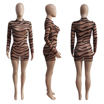 Print Bodycon Party Dress for Women Long Sleeve Dress Transparent Night Sexy Dress